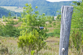 b4dafda2-1317-4efc-8986-271d92199b45