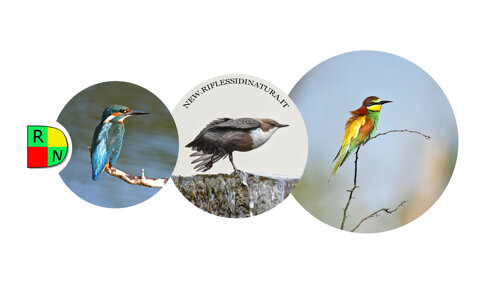 68202f61-b25f-4aed-bab3-d70d59fda89a