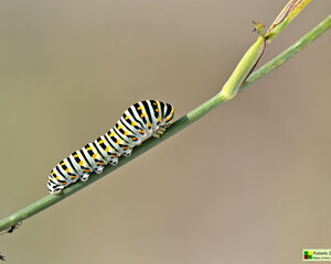 Ambiente Scrivia 2023