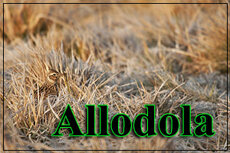 0e61e632-ea57-46ec-a354-df082ef76c30