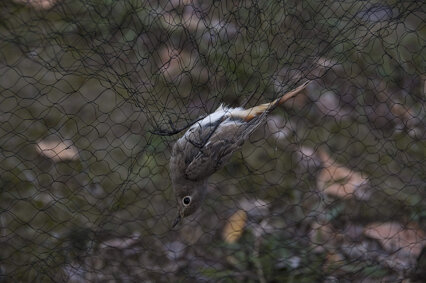 4d5647f4-01b9-416d-b47e-edcc02cca669 4d5647f4-01b9-416d-b47e-edcc02cca669