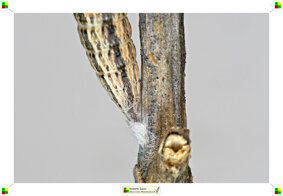 67921d5e-6ec9-4185-8448-66967c77a460