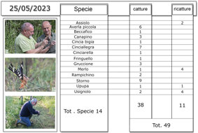 b5d6b2bc-2d55-4cae-aec6-96cc79cc1662