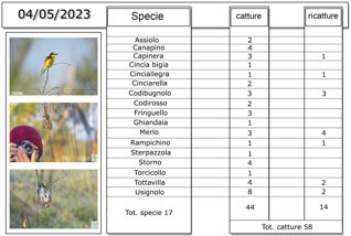 d5c553ee-438c-49a0-a89c-7d0fcf2b5e1f