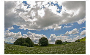 01-montessoro-hd.jpeg 01-montessoro-hd.jpeg