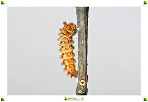 64981f9f-59e4-4f95-9d21-d7bf9771edc9