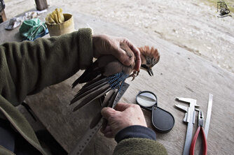 5b84309f-133e-4668-ad2f-eb2e076ff5e5