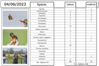 a780429d-b26b-4ed1-99b5-84bbba9a8383