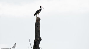 Ambiente Scrivia 2020