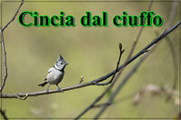 df14645e-2594-48b7-a857-2fdcbb0aa14c