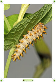 800c51a1-d946-414b-8312-898c527123fe