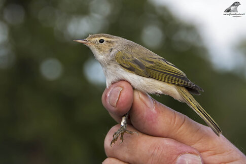 6fbf1185-add1-4d7a-9790-5e547580e93e