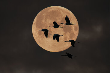 9d6141e8-a5a8-4583-994a-f21dbadabb3d