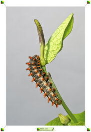 3ebde355-a20f-480b-9e2a-45cb7e5a9aaf