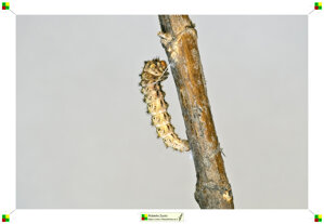 653ee668-2101-472f-a0b1-8b9340bf61b5