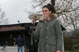 9cbe8a29-bbf5-4091-8cf8-1d2b554a700c