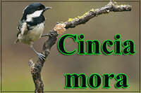 5d0137b6-edf2-4902-8d2c-0ea530bfc9d5