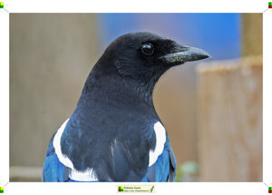 cc3be49e-6789-40f1-9dc5-a135fbce1649