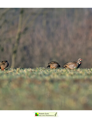 ed4192e1-7ccc-4bc4-96ba-791b408a593e