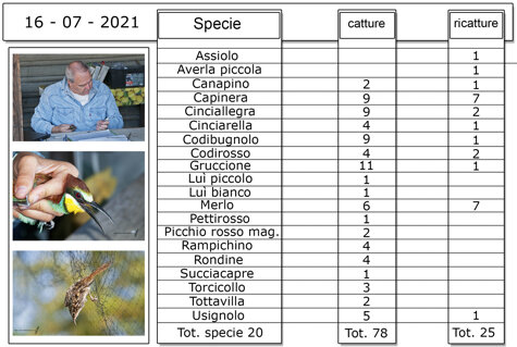 98c01dbd-5519-403e-855a-267c589fb4ef