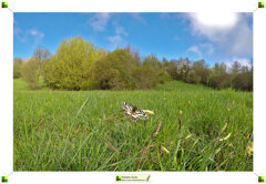 013-gopro 2 bastia larga.jpeg 013-gopro 2 bastia larga.jpeg