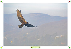 7dd29a9b-df60-4e9f-9836-8fbbcb85b47c