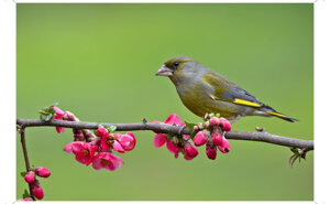 8ca27488-e86c-4d8e-bd61-4d978d8d822e