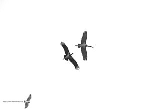 b35f1182-b804-4e8e-9ff7-7458a3757051