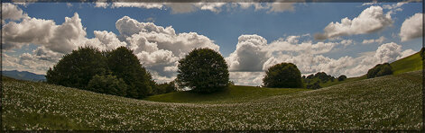 pian-della-cavalla-parco-01