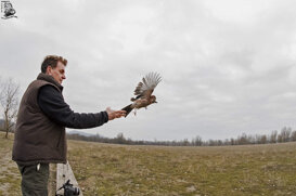 4628d569-0b4c-4cd8-bdca-c7c6a9ecb9ba