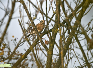 Ambiente Scrivia 2022