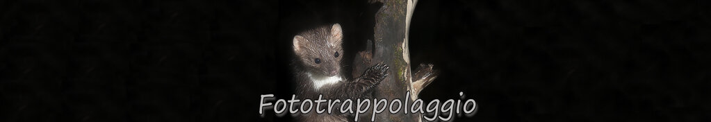 f4fa143b-7f8c-4652-9569-3447536d5773