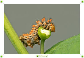 0f46160c-fe57-4da1-9a31-aeb92e50a8c2