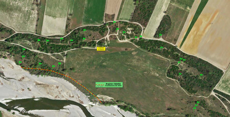 ed669173-f8a5-418d-a5ef-842a78a13420