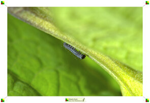 b0d6e4ff-30ea-419e-a5cb-28389bd06e78