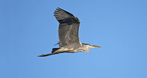 Ambiente Scrivia 2022