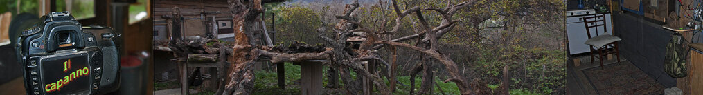 ea8ff6d2-c84d-4296-b5f7-e7677e6291c0