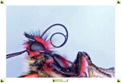 011-spirotromba 1.jpeg 011-spirotromba 1.jpeg