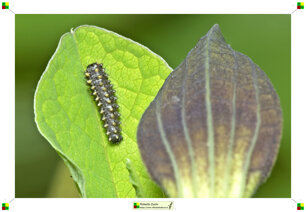 8a7cca68-7927-43bd-aa08-d898f13ff51e