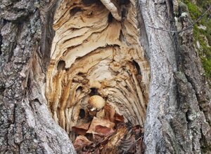 Ambiente Scrivia 2020 (AL) Piemonte