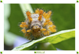 db9bb858-46ec-4503-b209-d30e0f1b7f38