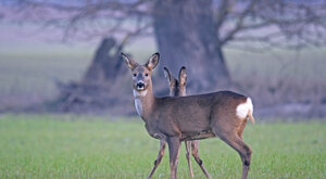 Ambiente Scrivia 2022