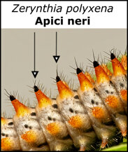 85386b57-980d-4499-bdb8-6770bc293277