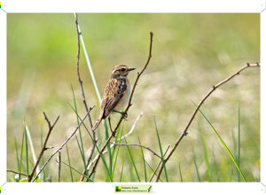 Ambiente scrivia 2024