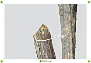 e4ae5d26-11ee-4d9c-825d-1c2f5de547fe