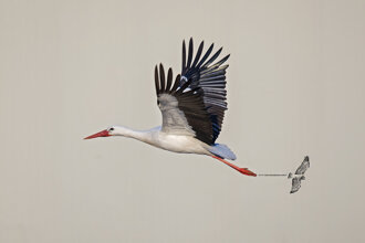 aa091309-2c68-4746-a471-512271142d30