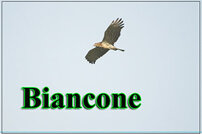 1e39cd77-8a21-4f22-828a-d04c8bdd08dd