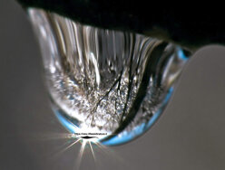 9444ba2e-506e-4feb-b412-97fd637e016d