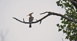 Ambiente Scrivia 2022