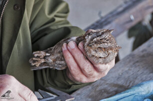 44d74ddb-f8fb-466d-835e-eb8dfc0f405f